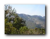 DSC00995.jpg