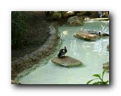DSC01010.jpg