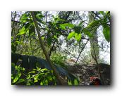 DSC01015.jpg