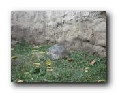 DSC01016.jpg