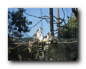 DSC01029.jpg