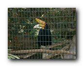 DSC01035.jpg