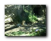 DSC01041.jpg