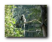 DSC01044.jpg