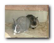 DSC01055.jpg