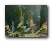 DSC01065.jpg