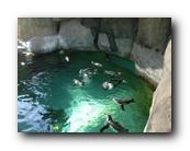 DSC01068.jpg