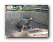 DSC01081.jpg