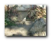 DSC01095.jpg