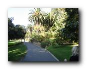 DSC01105.jpg