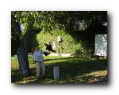 DSC01113.jpg