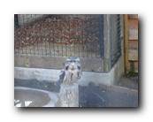 DSC01114.jpg