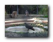 DSC01117.jpg