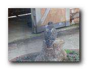 DSC01118.jpg