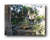 DSC01119.jpg