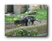 DSC01122.jpg