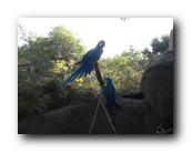 DSC01123.jpg