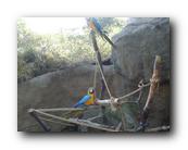 DSC01124.jpg