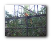 DSC01127.jpg