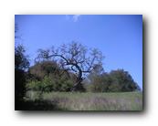 Santa Rosa 2006
