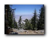 Palm Springs Hike