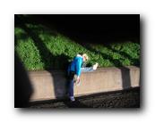 SF2006026.jpg