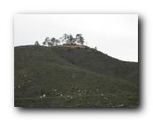 DSC00199.jpg