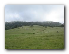 Santa Ysabel 2010